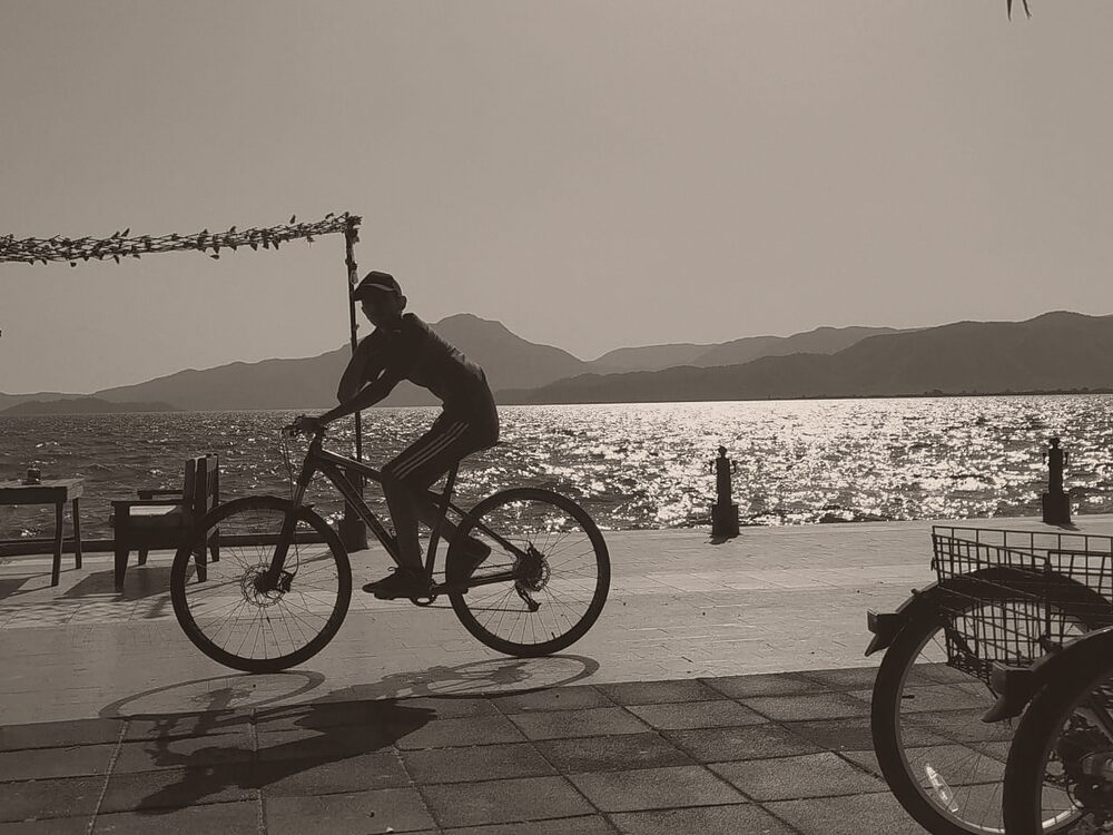 Ayaklı göl, beyaz nilüfer, dalyan balıkçılığı ve narenciye.